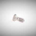 Banjobout RVS M 10 X 1